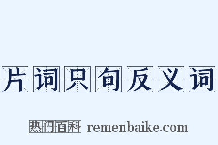 片词只句反义词是什么意思的图片